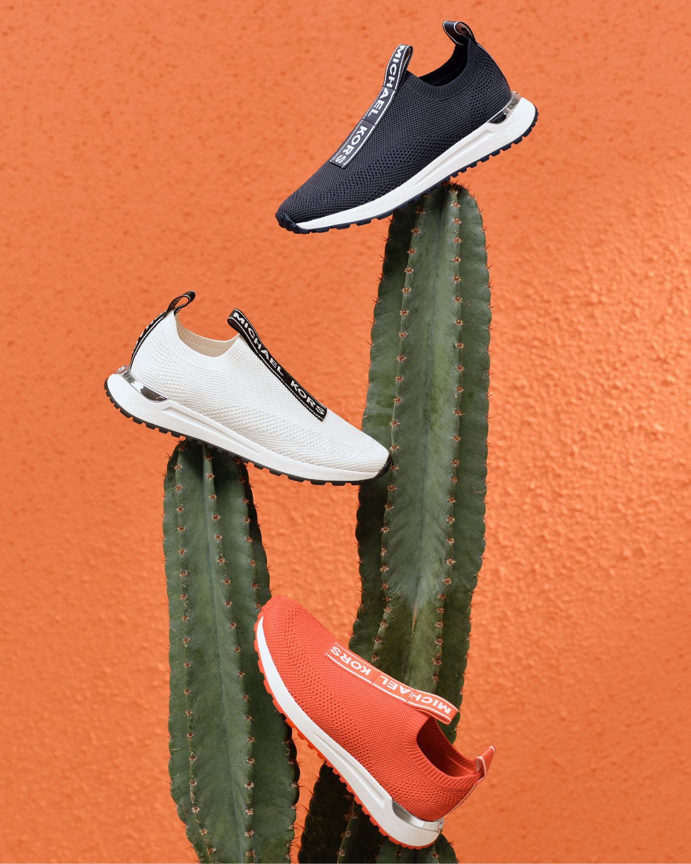 Sneakers Duo Image