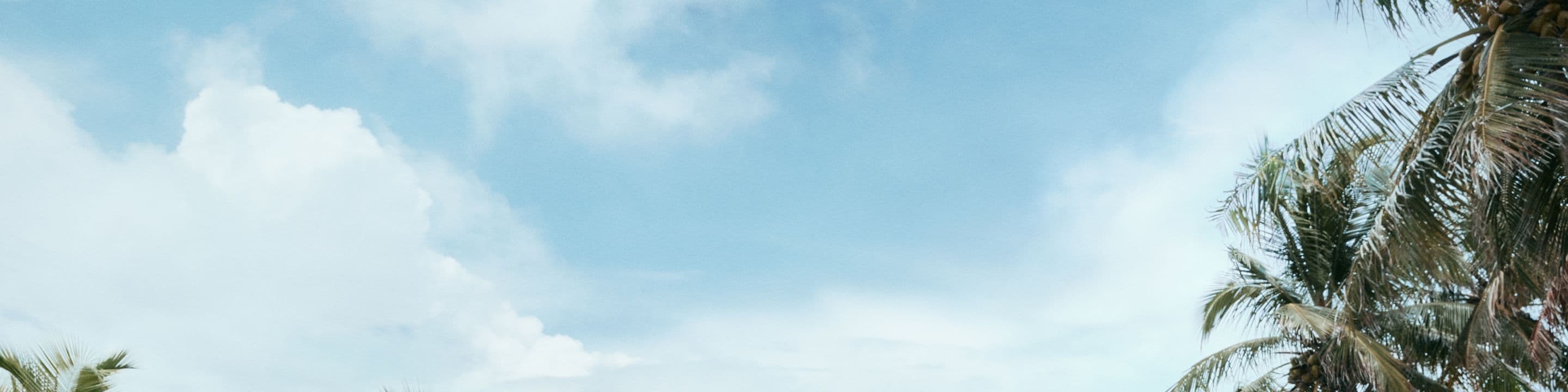 treat yourself. take an extra 20% off. shop now