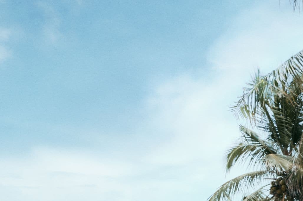 treat yourself. take an extra 20% off. shop now