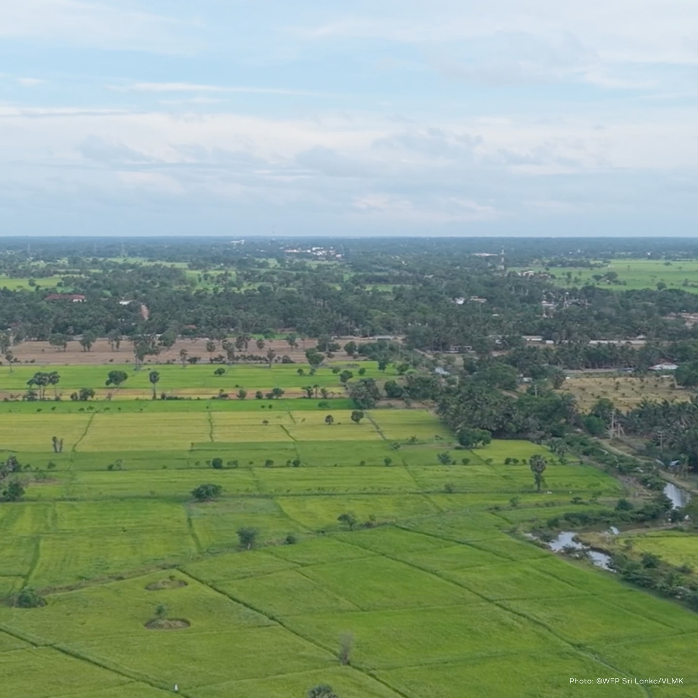 sri lanka