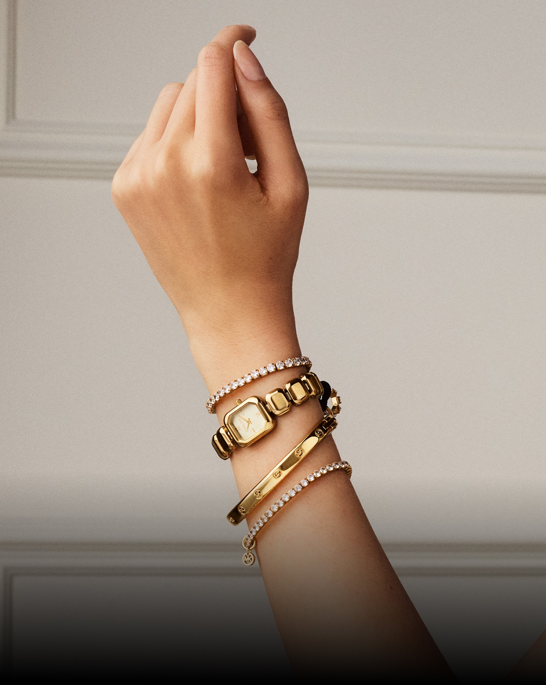Accessories Image