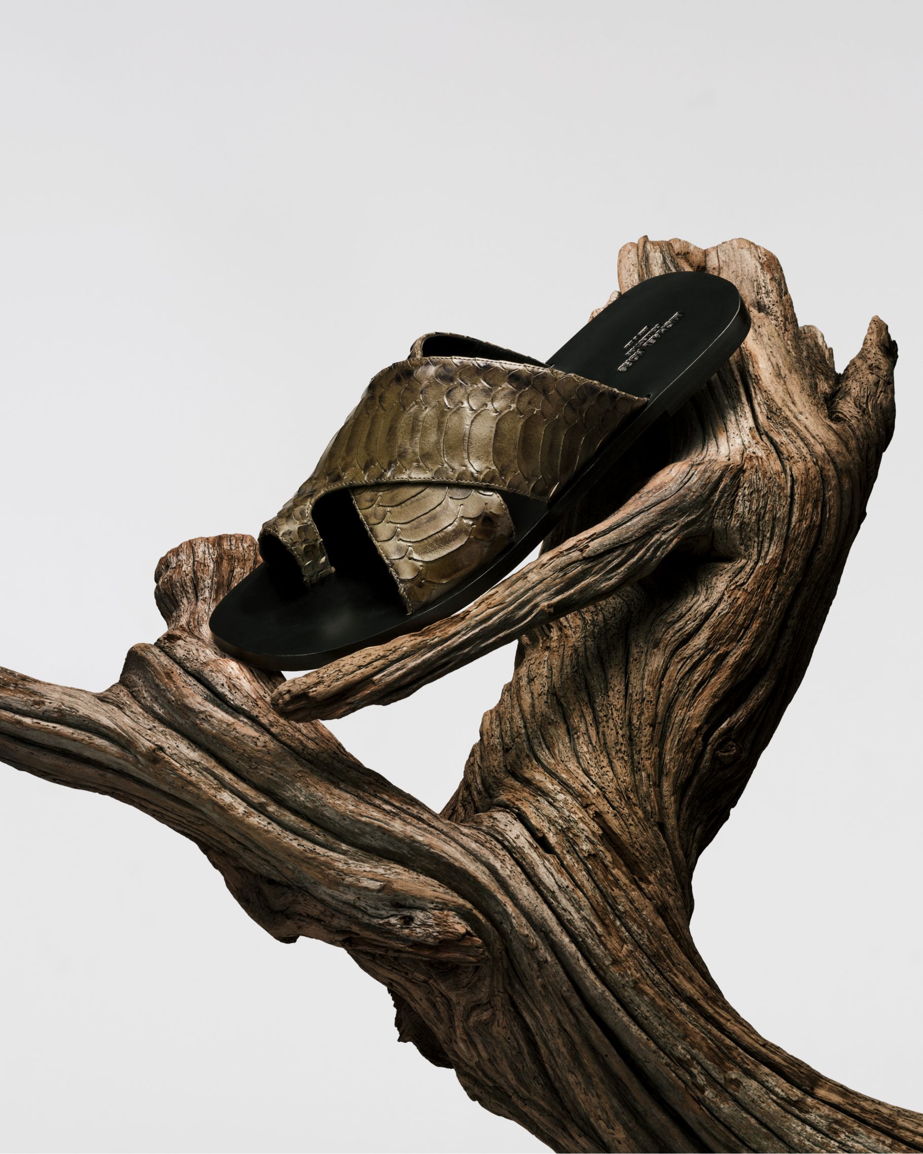 python sandal in branch